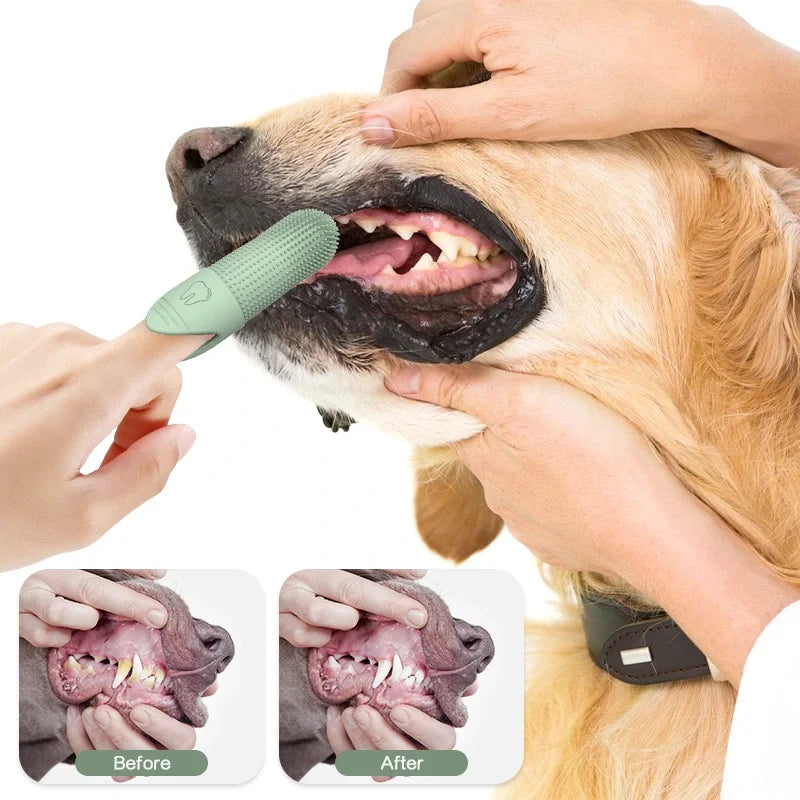 🐶 Escova de Dente 360° para Pets | Limpeza completa e mais saúde bucal