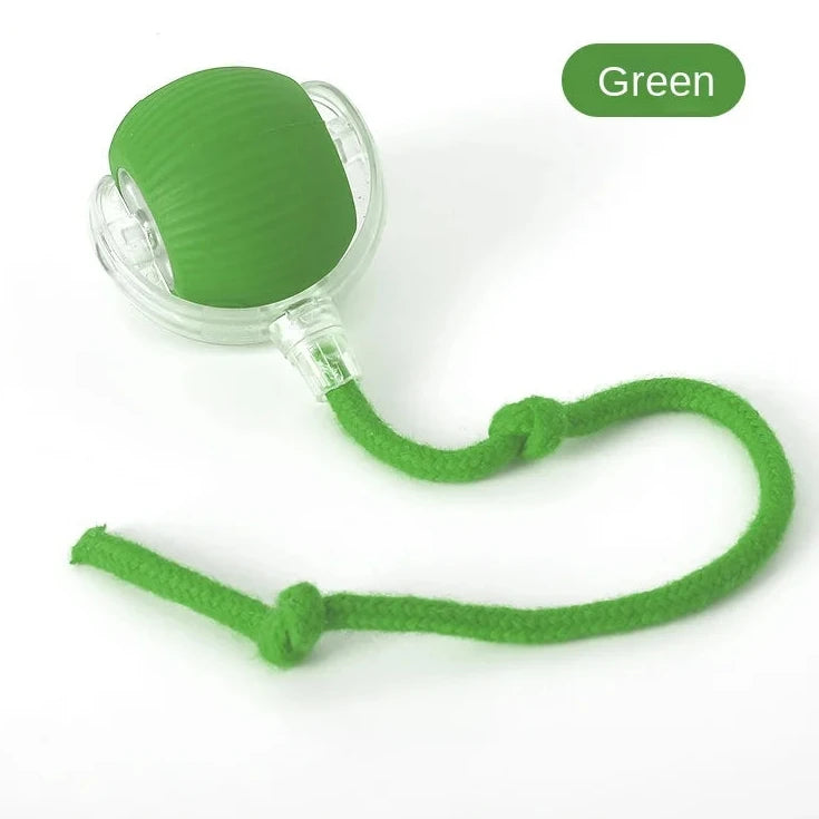 🐾 Bola Interativa Inteligente para Pets – De R$ 59,90 por apenas R$ 39,90 (33% OFF)