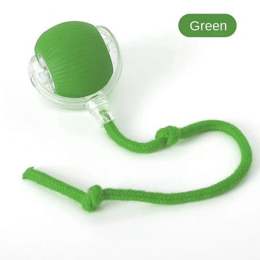 🐾 Bola Interativa Inteligente para Pets – De R$ 59,90 por apenas R$ 39,90 (33% OFF)