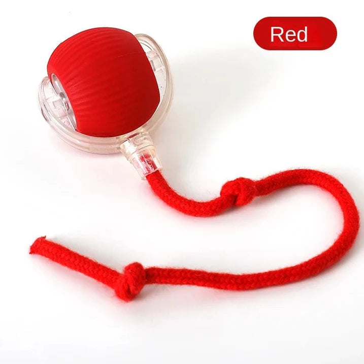 🐾 Bola Interativa Inteligente para Pets – De R$ 59,90 por apenas R$ 39,90 (33% OFF)