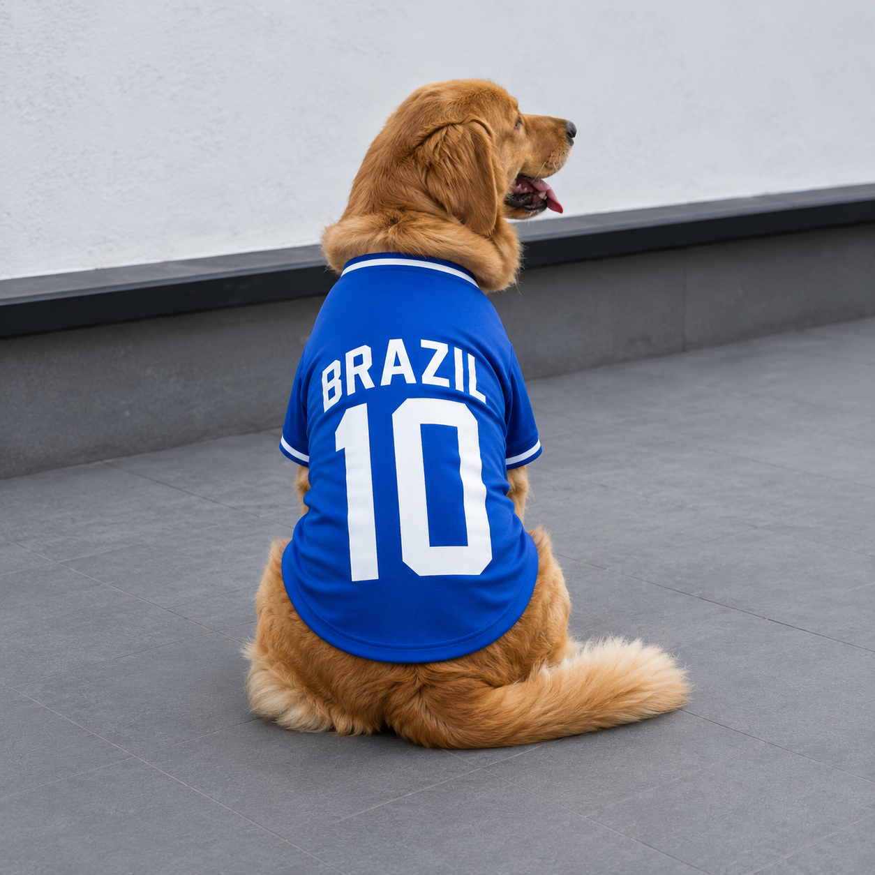 🐶 Camisa Estilo Brasil Nº10 para Pets (-32% OFF) | Seu pet na torcida