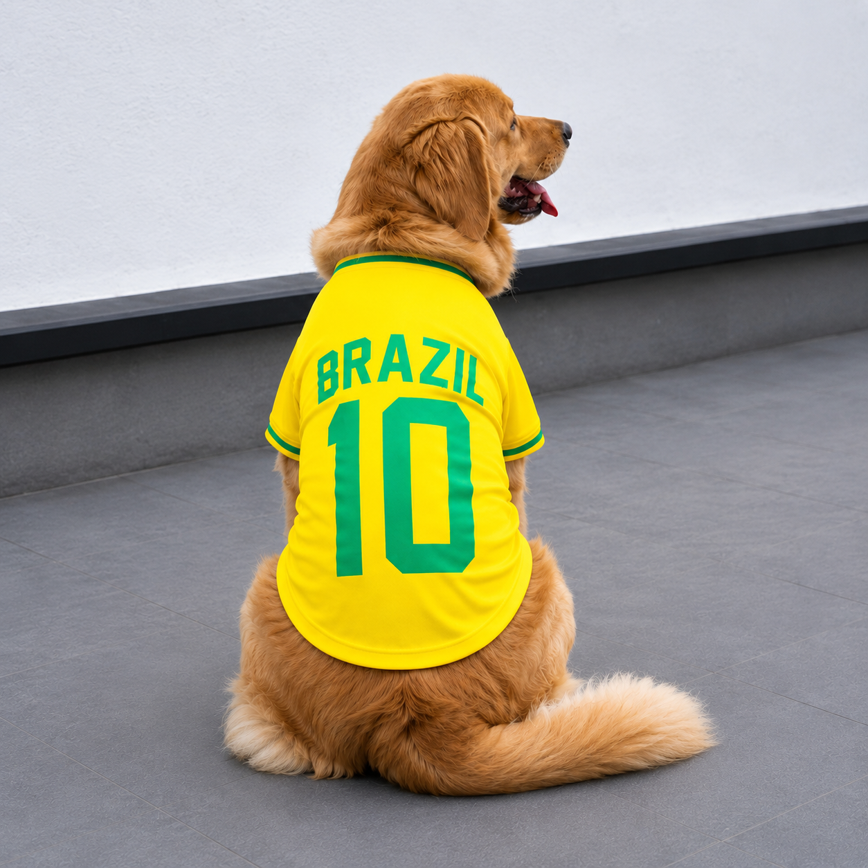 🐶 Camisa Estilo Brasil Nº10 para Pets (-32% OFF) | Seu pet na torcida