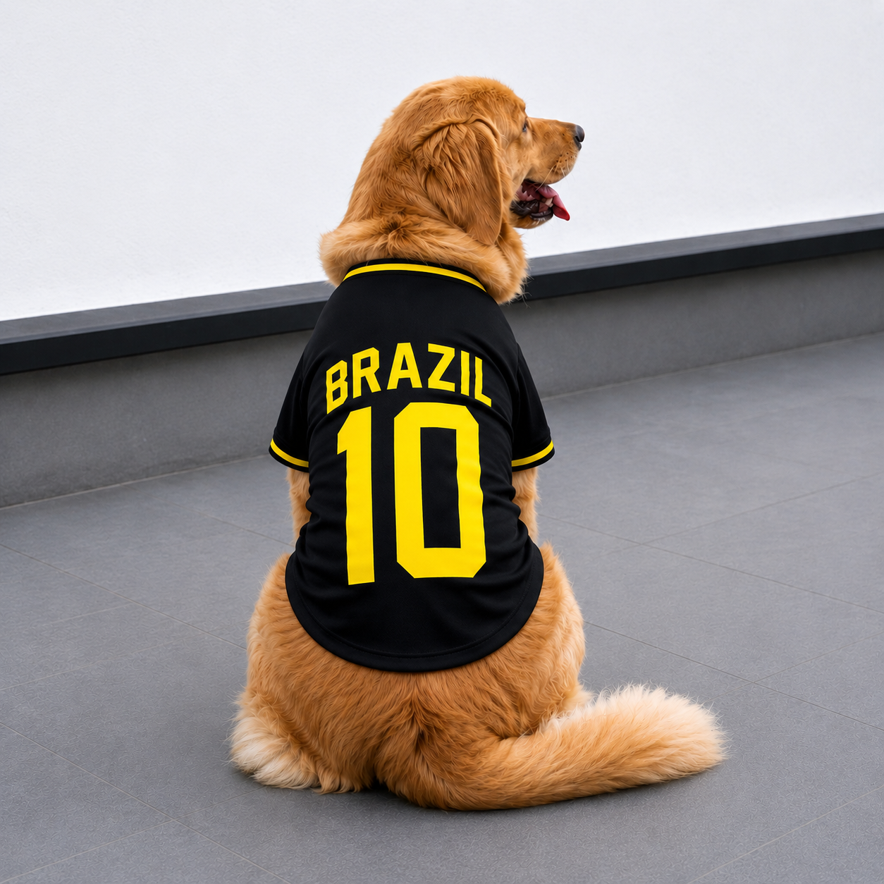 🐶 Camisa Estilo Brasil Nº10 para Pets (-32% OFF) | Seu pet na torcida