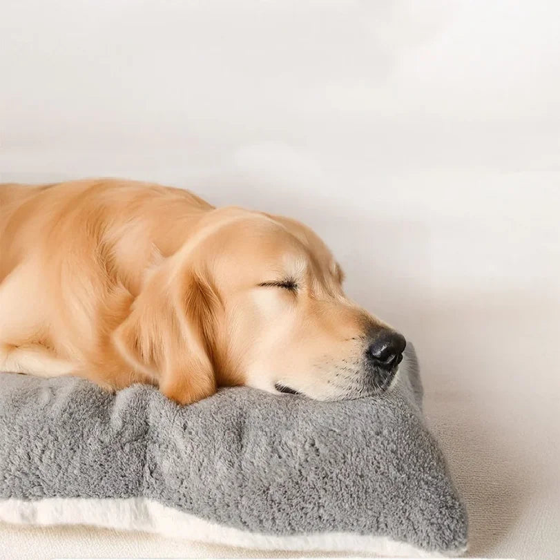 🐶 Cama Sofá de Pelúcia para Pets | Máximo conforto e aconchego para o seu pet