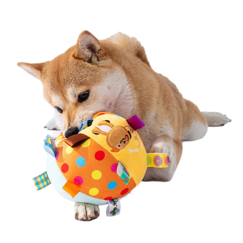 🐶 Brinquedo Interativo para Cães | Mais diversão e menos ansiedade no dia a dia