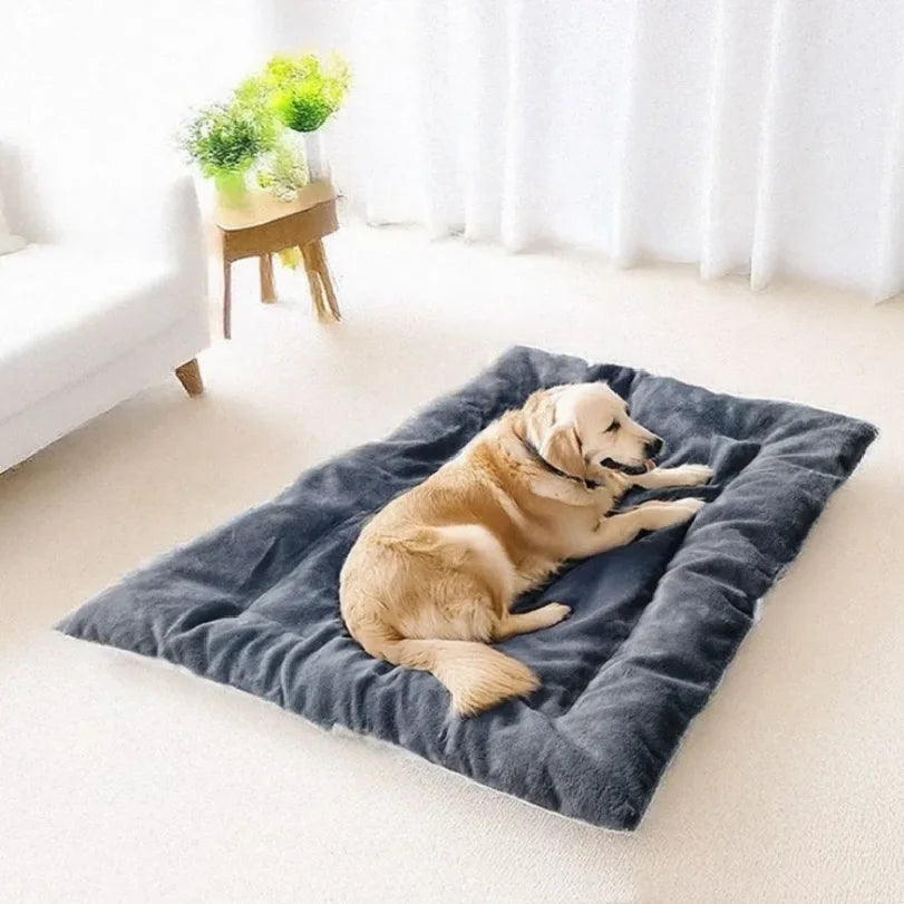 🐶 Cama Sofá de Pelúcia para Pets | Máximo conforto e aconchego para o seu pet