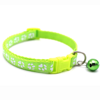 🐶 Coleira com Gravata para Pets | Estilo e charme para o seu pet