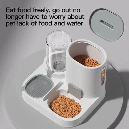 🐶 Comedouro Automático 2 em 1 | Alimentação prática e sem complicação