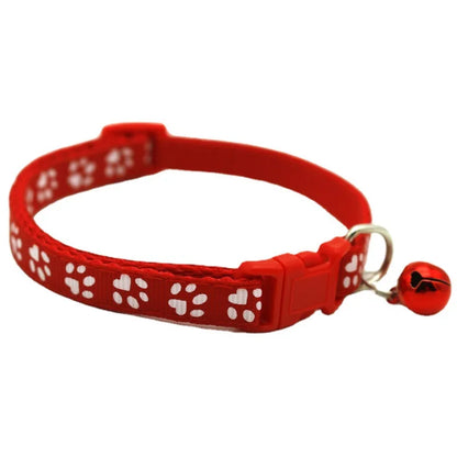 🐶 Coleira com Gravata para Pets | Estilo e charme para o seu pet