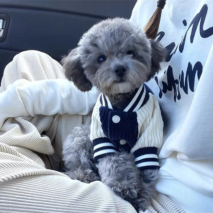 🐶 Jaqueta Bordada para Cães | Estilo, proteção e conforto em qualquer clima