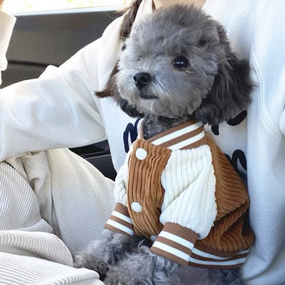 🐶 Jaqueta Bordada para Cães | Estilo, proteção e conforto em qualquer clima