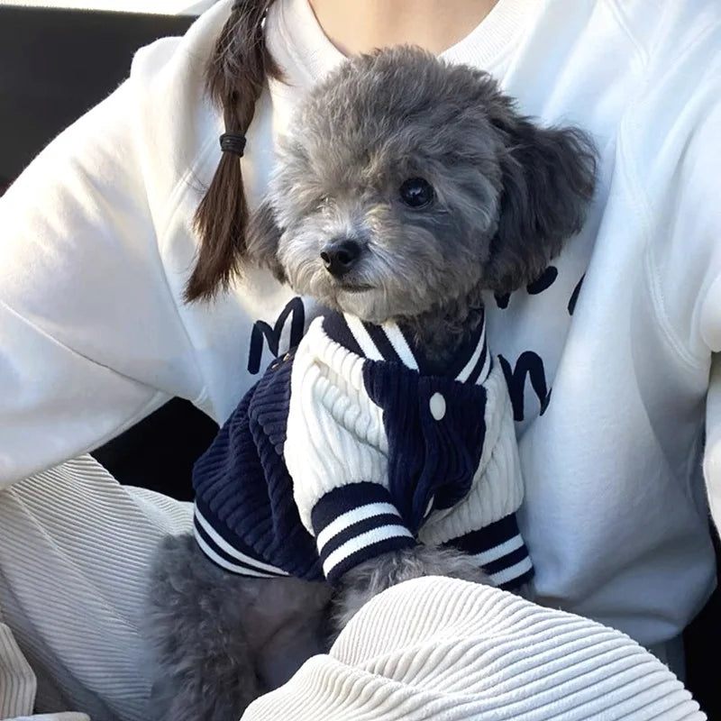 🐶 Jaqueta Bordada para Cães | Estilo, proteção e conforto em qualquer clima