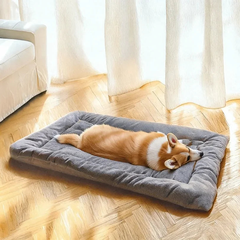 🐶 Cama Sofá de Pelúcia para Pets | Máximo conforto e aconchego para o seu pet