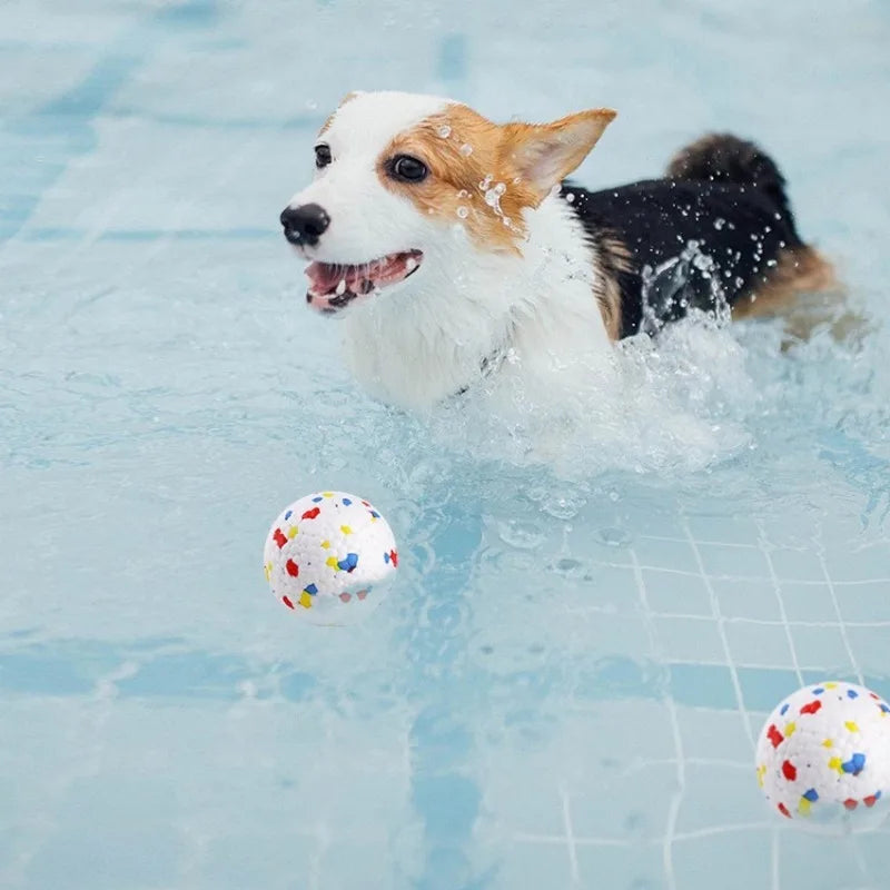 🐶 Bola Interativa para Cães | Diversão, estímulo mental e saúde bucal em um só brinquedo