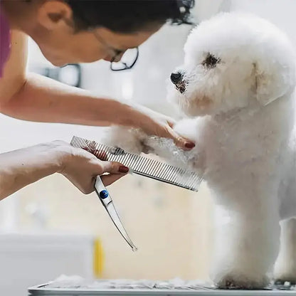 🐶 Kit com 4 Tesouras para Cuidado Pet | Corte preciso e acabamento profissional em casa