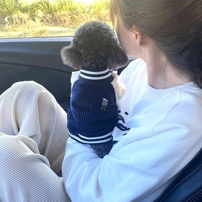 🐶 Jaqueta Bordada para Cães | Estilo, proteção e conforto em qualquer clima